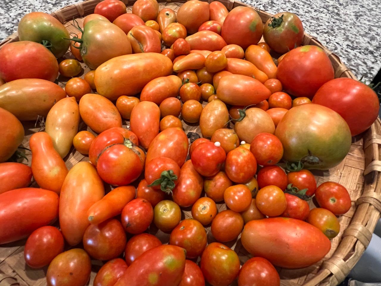 Profile picture of Someone Special